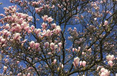 1 A Loft 5 Pers Familie 100qm Terrasse Düsselkdorf Köln - Photo 46