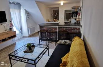 Appartement Cosy au cœur de la Champagne - Foto 1