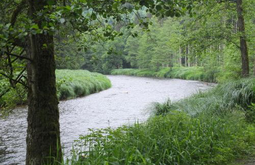 Haus Elisabeth - Foto 36