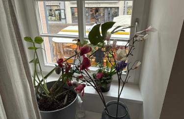 Waldshut -Kaiser55 - Foto 26