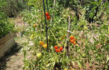 House Madrino - Foto 68