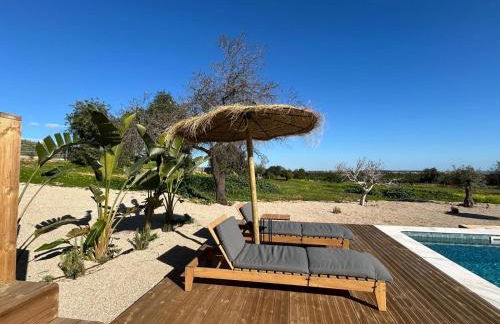 Quinta Castor - Foto 10