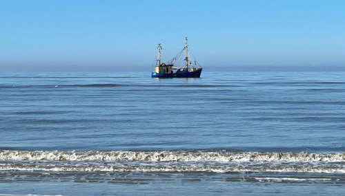 Ferienhaus Immerlicht Norddeich S-H - Foto 5