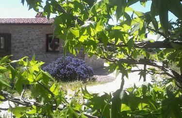 Agriturismo Valiana - Foto 71