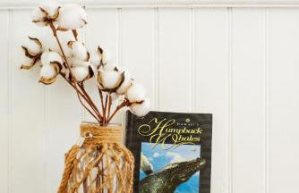 NEW Whaler Inn- Nautical Magic Hilo Downtown - Foto 33