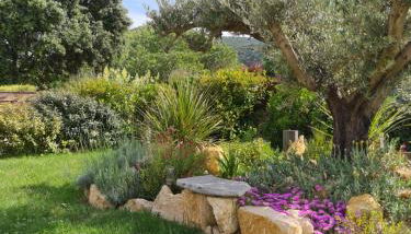 Gîte spa la parenthèse,privatif,sauve,gard,Occitanie - Foto 3, Garden