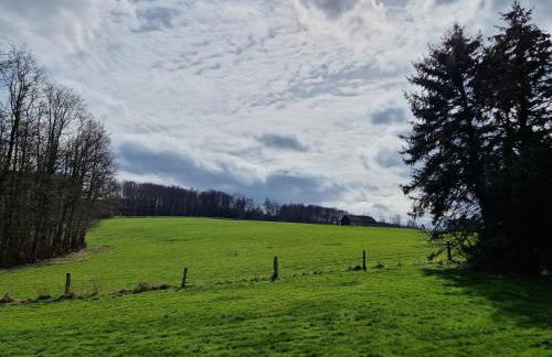 Ferienwohnung Arnsberger Wald - Foto 6
