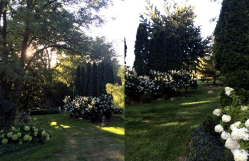 Charming Vacation Rental in a Mississippi Valley Bed and Breakfast in Elizabeth, Illinois - Foto 23