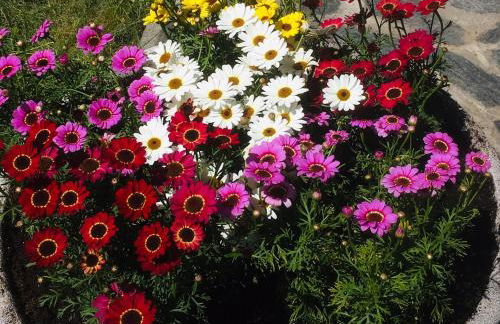 Villetta "Il Grillo" - Foto 14