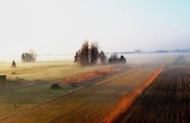 Elbhus Hamburg - Foto 95