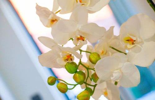 Luxury two-bedroom apartment by the sea U KaLu - Photo 49