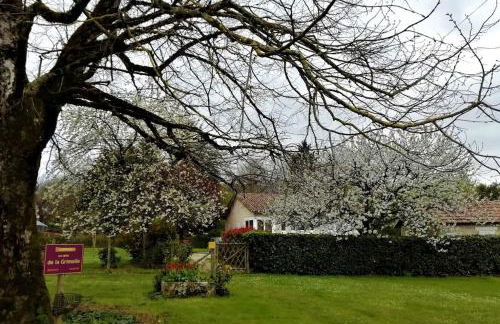 Calme et sérénité au gîte des hortensias - Foto 18