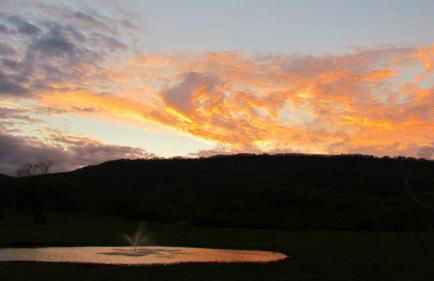 Fryars' Green at Tennessee RiverPlace - Foto 66