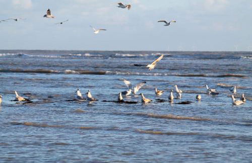 Home away from home by the sea - Foto 36