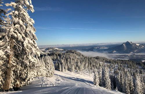 Das Vogelnest - Foto 17