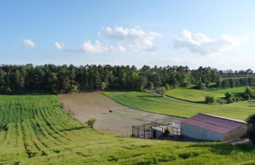 Cal Carulla - Foto 101