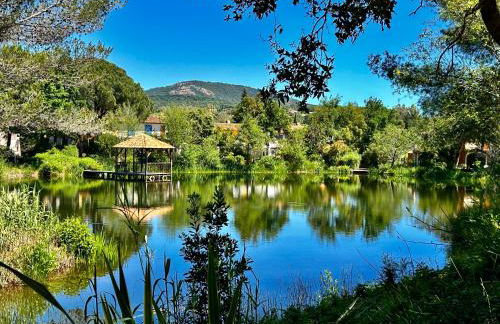 Les Restanques vue mer 2148 - Foto 31