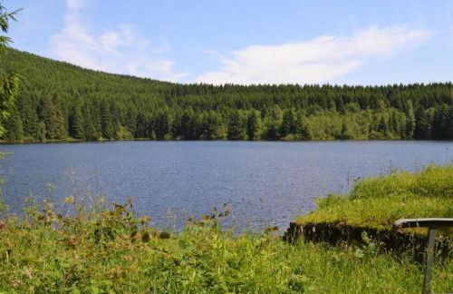 Ferienwohnung in Wildemann - Foto 31