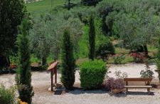 Colle Perazzoni - Foto 19