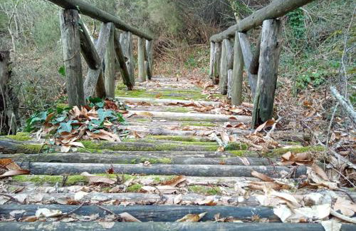 VILLA NIKOLETTA - Photo 48