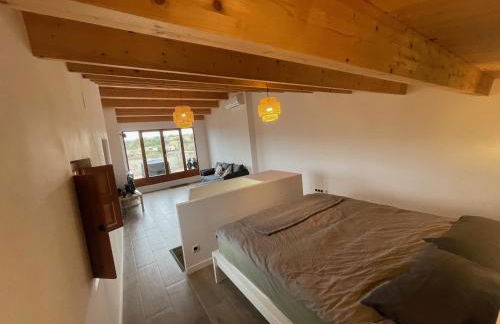 Cal Frasco punt com - Pallars Jussà - Foto 4