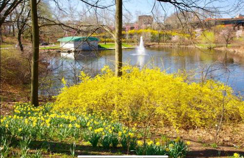 Cozy 1 BR, walk to subway, Free WiFi & Parking - Foto 6