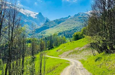 Casa Olivera - Photo 11