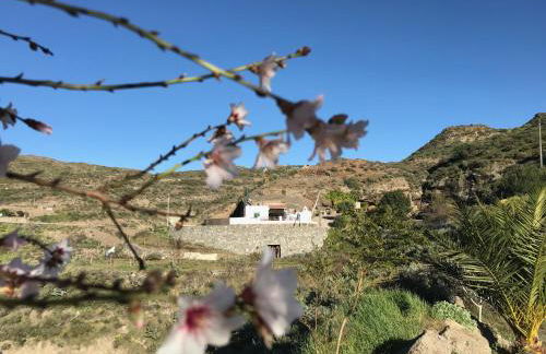 Casa Cueva El Caidero By Artenatur - Foto 12