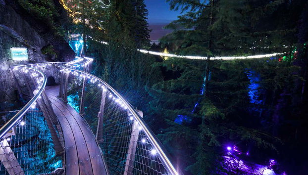 Tour natalizio di Vancouver o Victoria - Foto 4