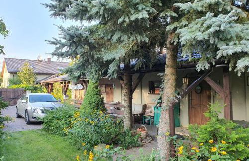 Ranczo Przyłęk - Foto 14