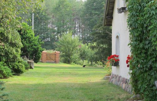 domki na leśnej polanie - Foto 44