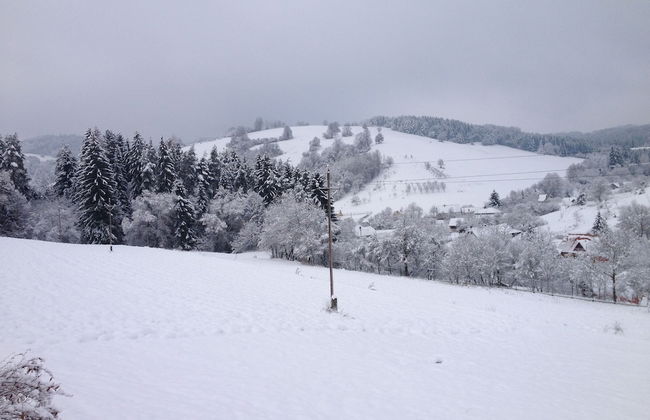 Chata Luna - Foto 31