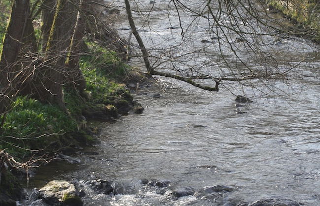 Cozy Holiday Home in Theux - Photo 39