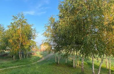 Brzozowisko Zalewo - Foto 17