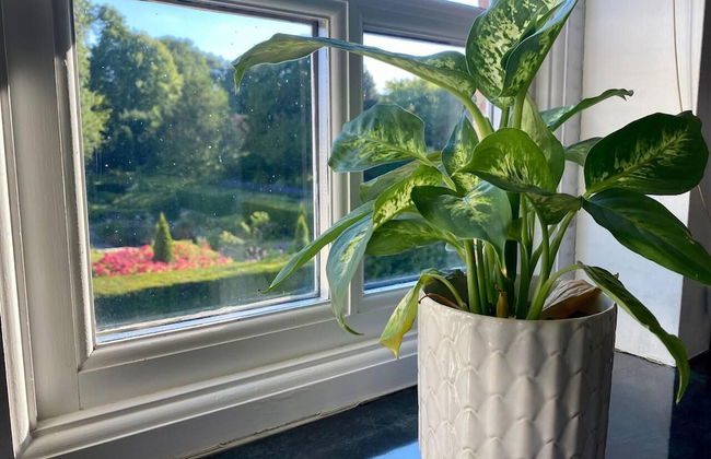 Idyllic Country Retreat With Wow Views & Lush Pool - Foto 10