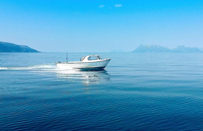 Holiday Home in Austbø - Foto 7