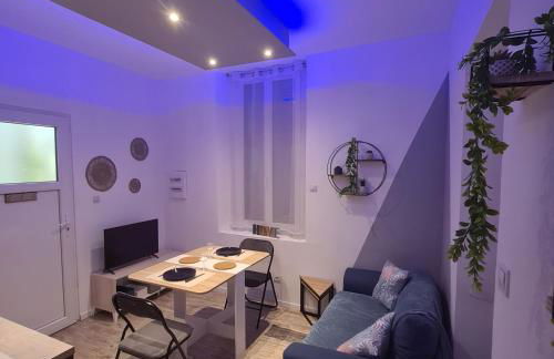 Très joli appartement 2 pièces, centre-ville - Foto 15