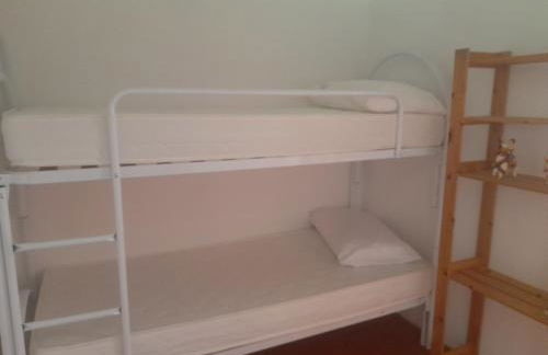 Fico d'india - Foto 11