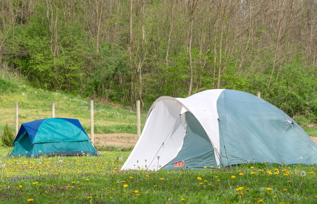 Robinzonski Kamp Hofman - Foto 19