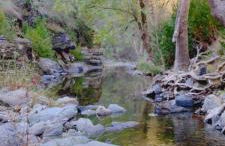 Turismo e Alojamento dos Lagos do Sabor - Piscina & SPA - Foto 42