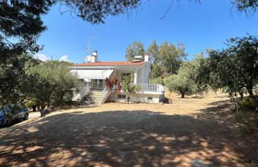 Villa Helga by the Sea - Photo 16