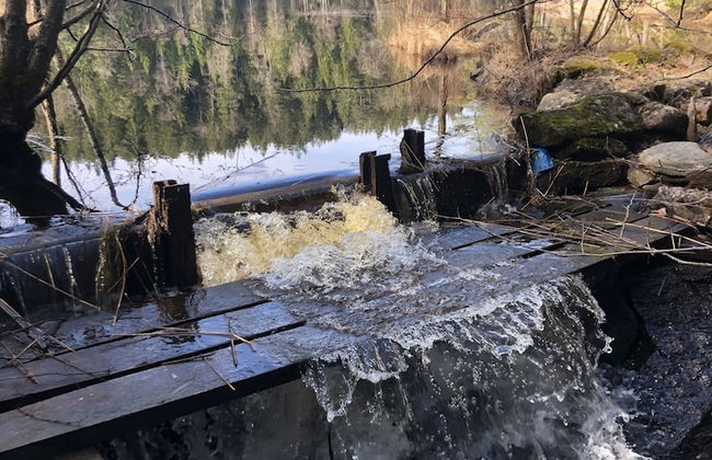 Björsjödal - Foto 63