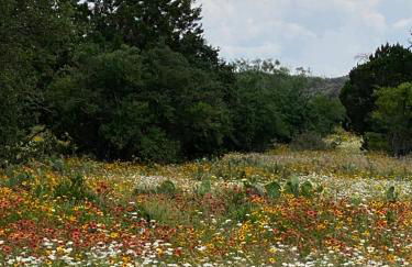 V700 Ranch Stays (Guesthouse)-A Tucked Away Gem - Foto 10