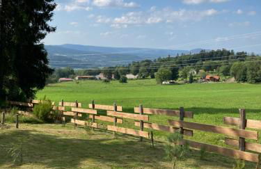 Chalet bois au calme, en lisière de forêt, balcons, sentiers balades Gérardmer & Alsace "Chalet Mon beau sapin" - Foto 31