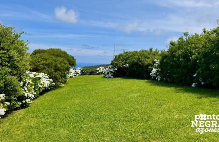 Casa da Serreta by PontaNegraAzores - Photo 59