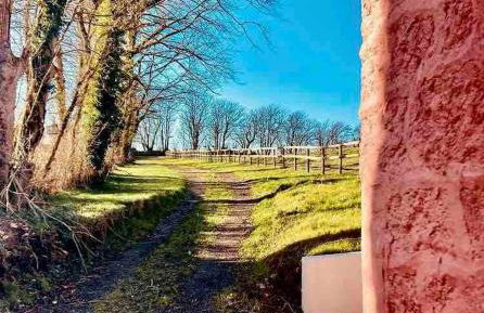 Secluded cottage with hot tub - Foto 26