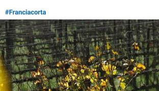 FilandaLago apartment - Foto 3