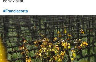 FilandaLago apartment - Foto 3