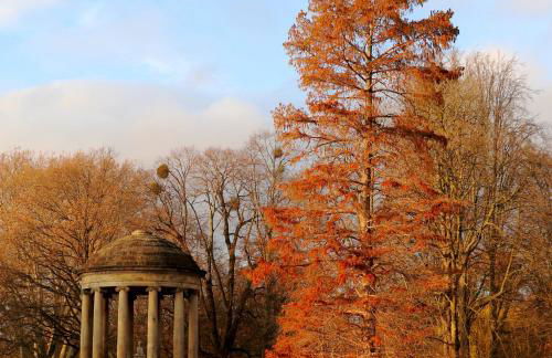 Cottage Wilkenburg - das luxuriöse und idyllische Ferienhaus - Foto 45