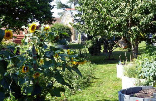 "Balmgarten" im Naturpark Usedom, Bio Solarhaus mit großem Garten - Foto 80